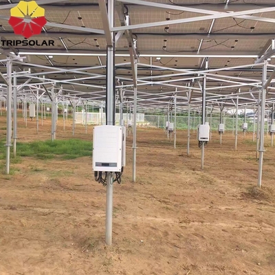 Instalação em campos abertos Sistema de montagem em solo de rede solar com design personalizado