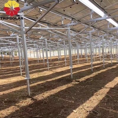 Instalação em campos abertos Sistema de montagem em solo de rede solar com design personalizado